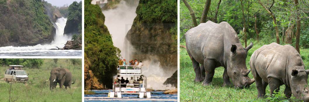 19 Days Uganda Safari