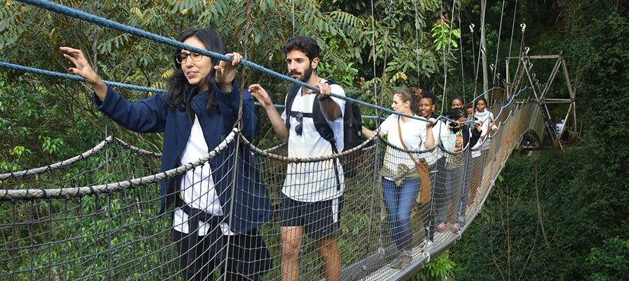 Nyungwe Forest National Park Rwanda