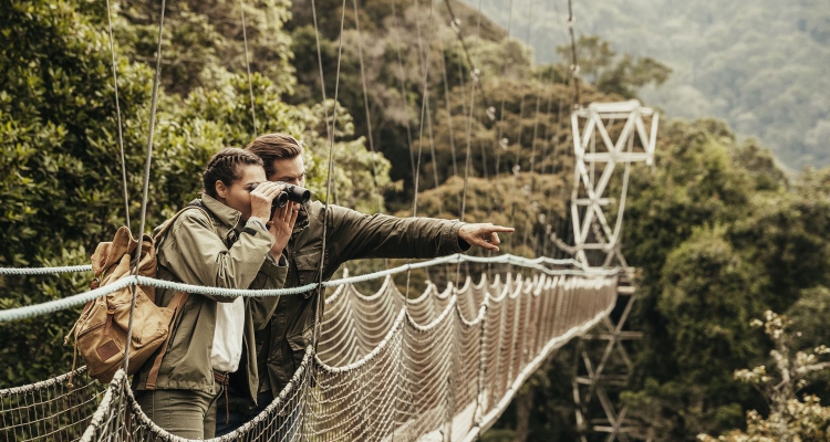 Nyungwe Forest National Park