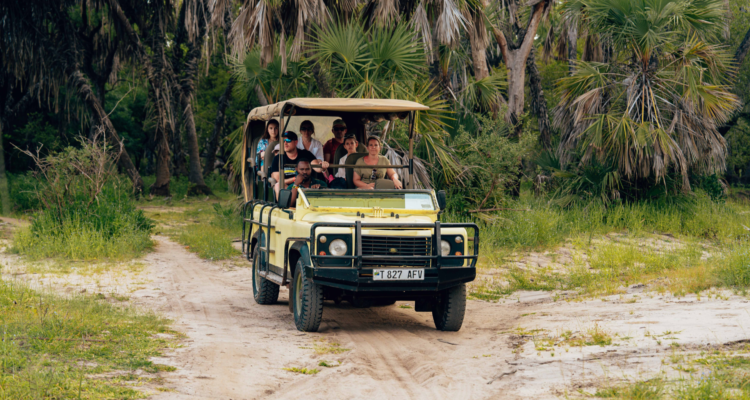 Uganda Gorilla Tours